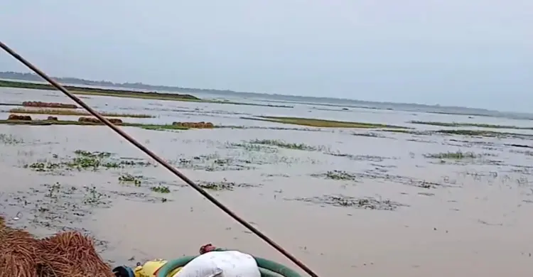 পানিতে ডুবে যাওয়া ধান কেটে ডাঙায় নিয়ে যাচ্ছেন একজন কৃষক। ছবি-জাগো নিউজ