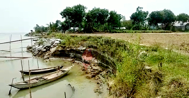 পদ্মার ভাঙন হুমকিতে জাজিরার ৬ ইউনিয়ন