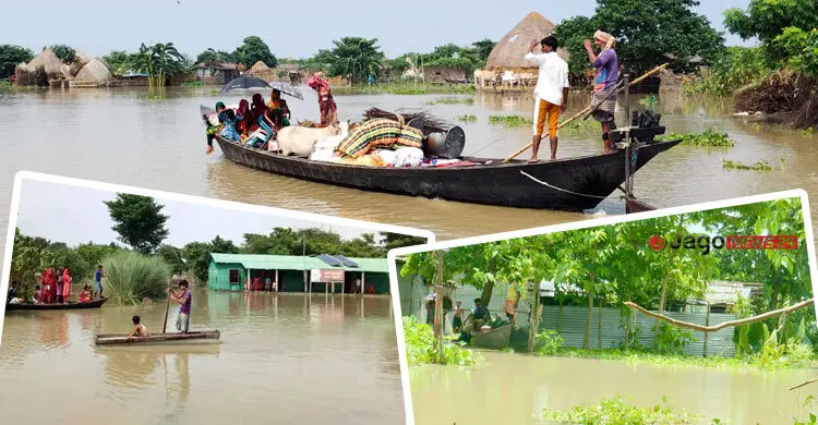 পানি বেড়ে আগ্রাসী পদ্মা, একের পর এক বিলীন হচ্ছে বাড়িঘর