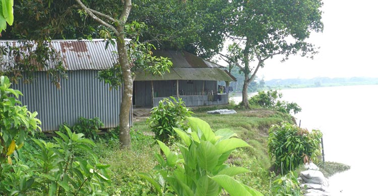বেড়েছে পানি, ভাঙন আতঙ্কে পদ্মাপাড়ের মানুষ