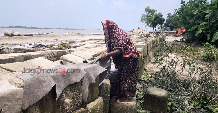 ভাঙনে নিঃস্ব শতাধিক পরিবার, মানবিক বিপর্যয়ের শঙ্কা