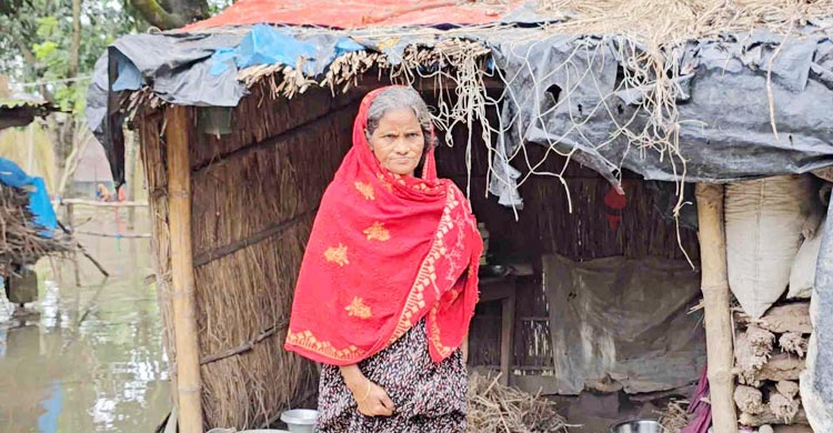 ঘরে পদ্মার পানি, ১০ দিনেও চুলা জ্বলেনি তাজকেরার