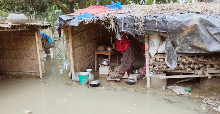 ঘরে পদ্মার পানি, ১০ দিনেও চুলা জ্বলেনি তাজকেরার
