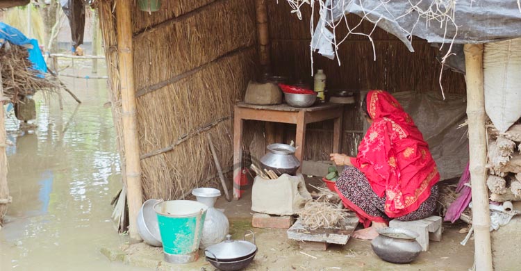 ঘরে পদ্মার পানি, ১০ দিনেও চুলা জ্বলেনি তাজকেরার