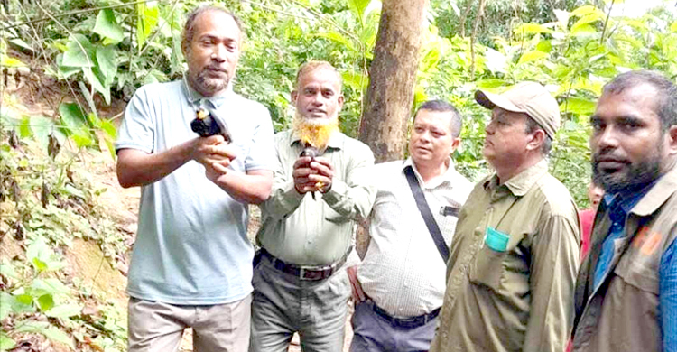 আবারও বনে ডানা মেললো দুই পাহাড়ি ময়না