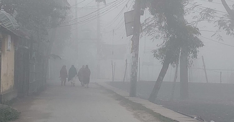 পঞ্চগড়ে আবারও শৈত্যপ্রবাহ, বৃষ্টির মতো ঝরছে কুয়াশা