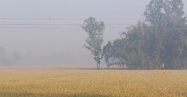 পঞ্চগড়ে আবারো ১২ ডিগ্রিতে নামলো তাপমাত্রা
