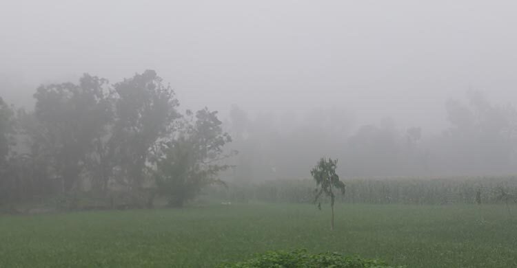 পঞ্চগড়ে চৈত্রের আকাশে ঘন কুয়াশা