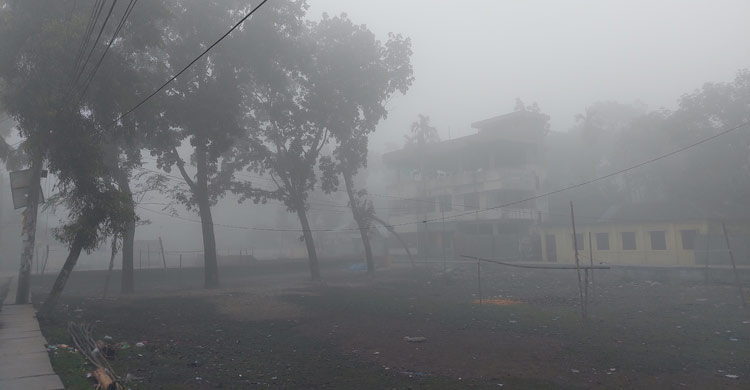 পঞ্চগড়ে আবারও শৈত্যপ্রবাহ, বৃষ্টির মতো ঝরছে কুয়াশা