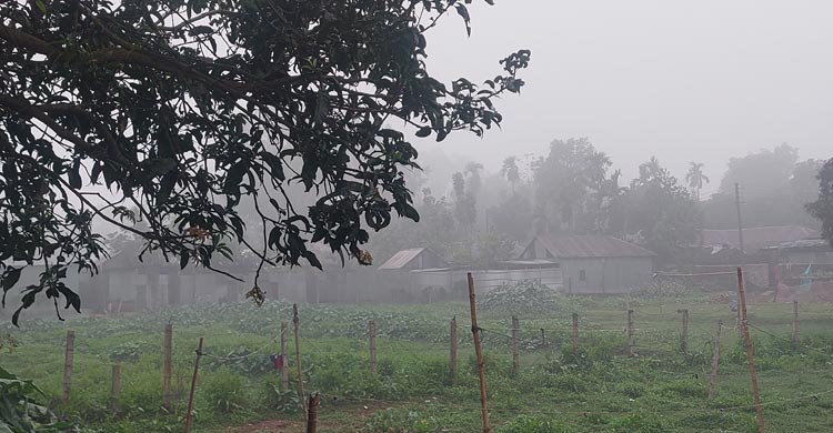 পঞ্চগড়ে চৈত্রের আকাশে ঘন কুয়াশা