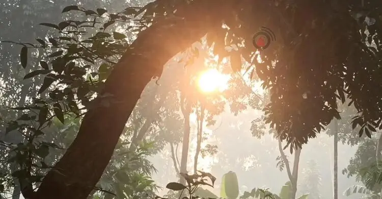 পঞ্চগড়ে মৌসুমের প্রথম শৈত্যপ্রবাহ