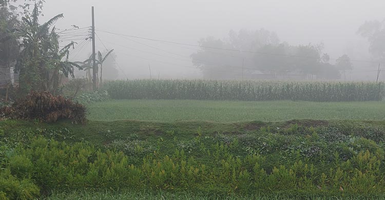 পঞ্চগড়ে চৈত্রের আকাশে ঘন কুয়াশা