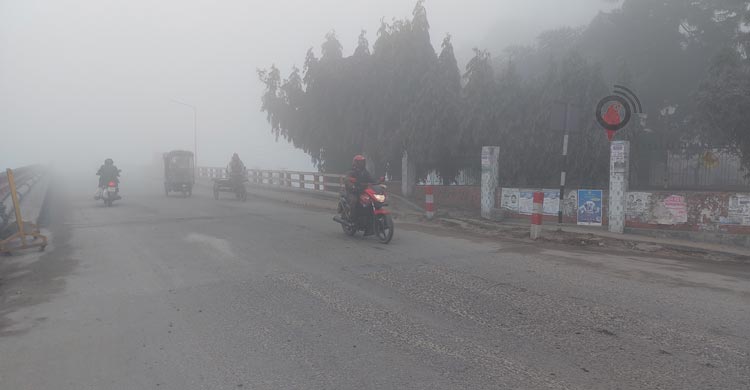 পঞ্চগড়ে ঘন কুয়াশায় বেড়েছে শীতের দাপট