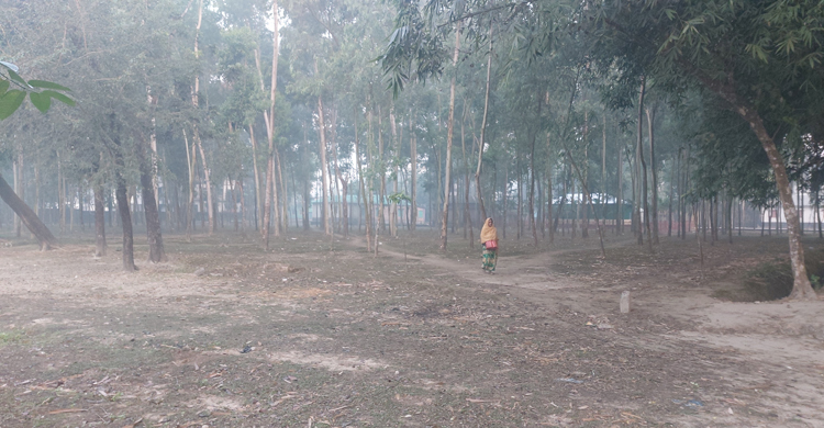 পঞ্চগড়ে কুয়াশা কমলেও বইছে মৃদু শৈত্যপ্রবাহ