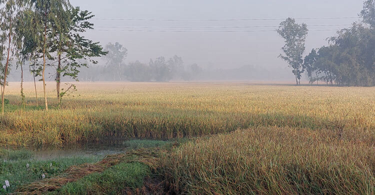 Panchagarh records another drop, temperature hits 11.7°C