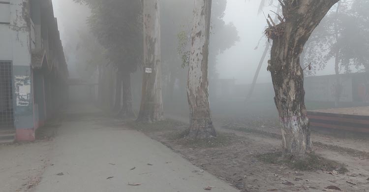 চলছে মাঝারি শৈত্যপ্রবাহ, সর্বনিম্ন তাপমাত্রা ৬.৮ ডিগ্রি