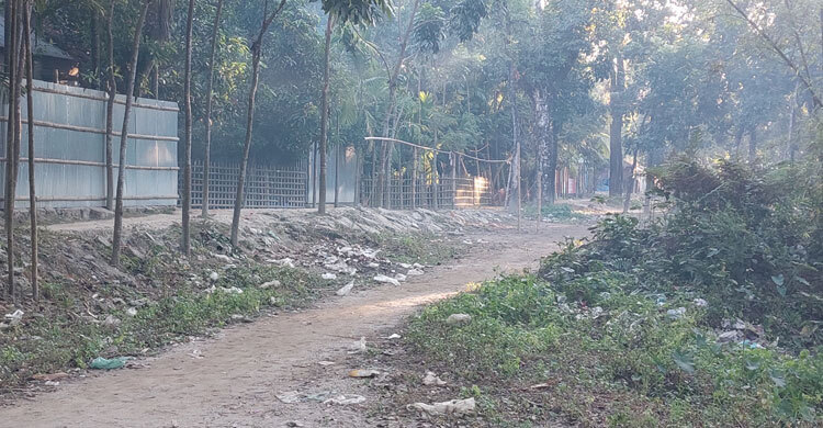 তিনদিন ধরে শৈত্যপ্রবাহের কবলে পঞ্চগড়