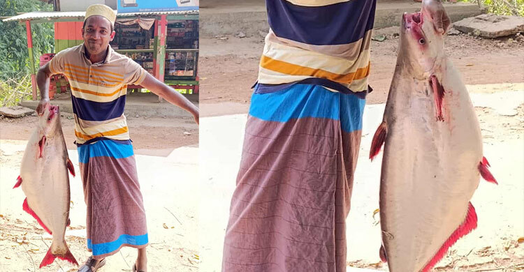 পায়রা নদীতে ধরা পড়লো ১৮ কেজির পাঙাশ