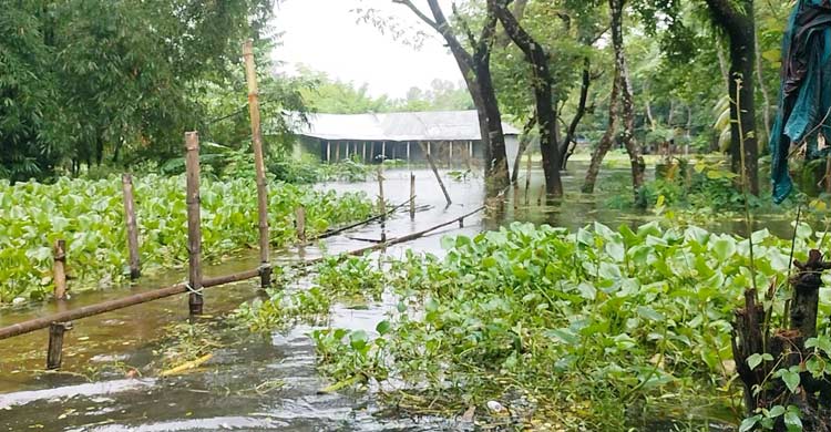 লক্ষ্মীপুরে বন্যা পরিস্থিতির অবনতি, ত্রাণের জন্য হাহাকার