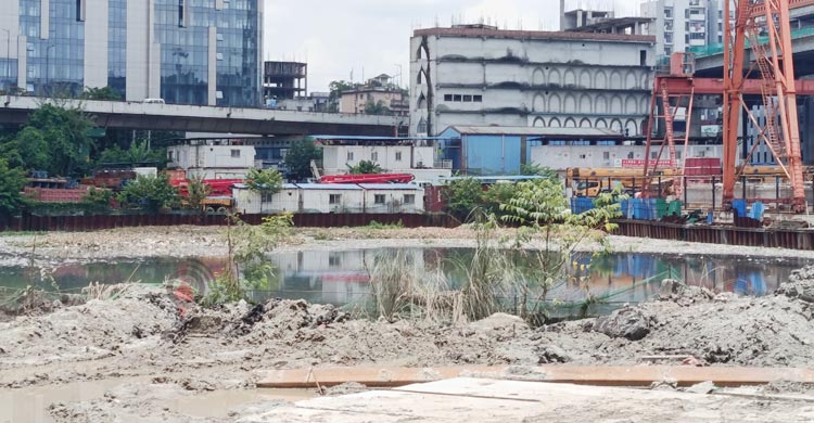 ঢাকার প্রকৃতি সংকটে, উন্নয়নের চাপে হারাচ্ছে সবুজ