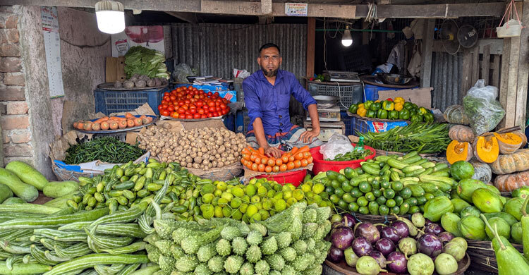 পটুয়াখালীতে কাঁচামরিচের কেজি ৩৫০ টাকা