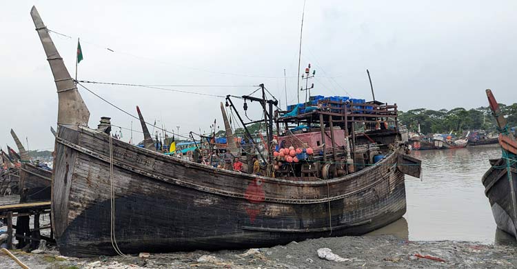 ট্রলিং ট্রলারে ধ্বংস হচ্ছে সমুদ্র সম্পদ, কমছে মাছের প্রজনন
