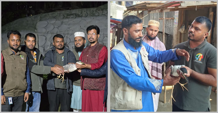 মুরগির দোকান থেকে নিশি বক উদ্ধার, রাতে অবমুক্ত