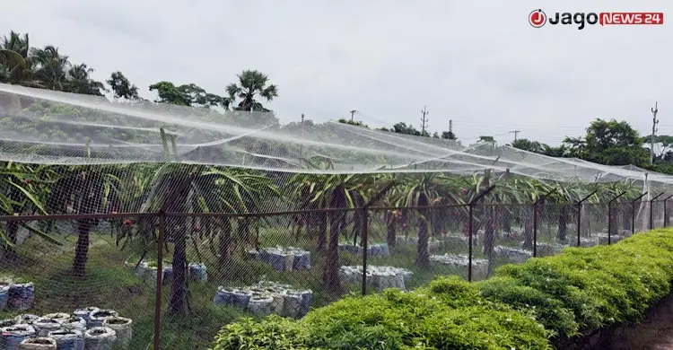 উপকূলীয় কৃষির নতুন সম্ভাবনা তৈরি করছে উদ্যানতত্ত্ব গবেষণা কেন্দ্র