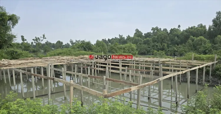 ম্যানগ্রোভ বন ঘেঁষে রেস্তোরাঁ নির্মাণ, হুমকিতে গঙ্গামতির জীববৈচিত্র্য