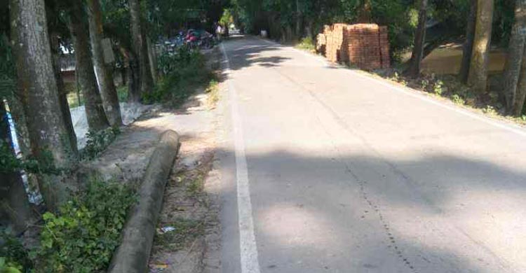 পাউবোর জমি দখল করে বিএনপি নেতাদের বহুতল ভবন-দোকানঘর