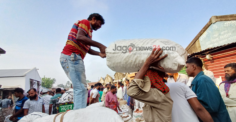 উৎপাদন খরচ ৩৮ বিক্রি ৫০, খুশি পেঁয়াজচাষিরা