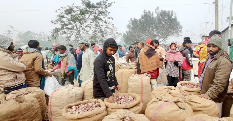 তিন দিনের ব্যবধানে প্রতি মণে পেঁয়াজের দাম কমলো দুই হাজার