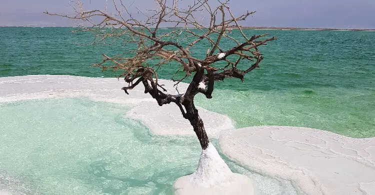 নবী লুতের (আ.) জাতির বিকৃত যৌনাচার ও ধ্বংসের ইতিহাস