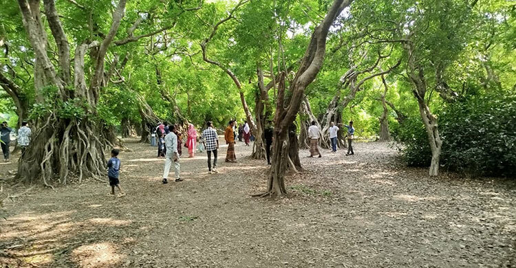 রাতারগুলের বুনোজলে অন্যরকম আনন্দ