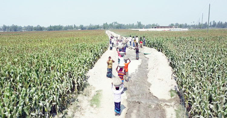 দুঃখ ঘোচাতে নিজ উদ্যোগে গ্রামবাসীর বাঁধ নির্মাণ