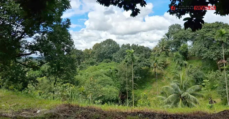 ত্রিদেশীয় সীমান্তে আরাকান-ইউপিডিএফ-কেএনএফের ‘জোট’