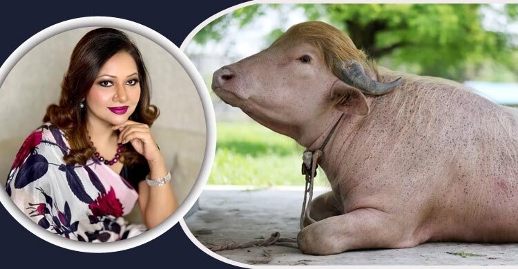 ‘ডোনাল্ড ট্রাম্প’কে নিয়ে আবেগঘন বার্তা আঁখি আলমগীরের