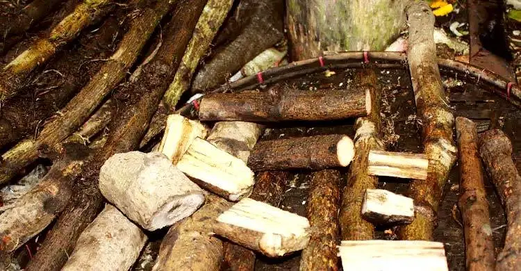 জেনে নিন চুইঝালের উপকারিতা, দূর করবে ক্যানসার-হৃদরোগের ঝুঁকি