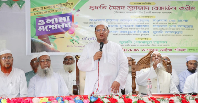 দেশ এখন ক্রান্তিকাল অতিক্রম করছে: চরমোনাই পীর