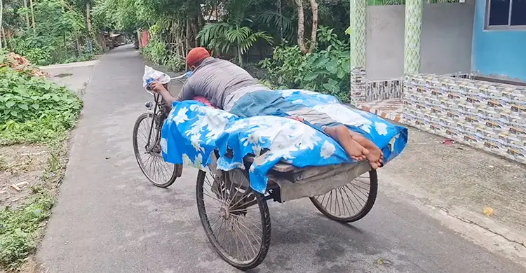 গাছ থেকে পড়ে স্বপ্ন ভেঙেছে কাঠুরে ইমরানের