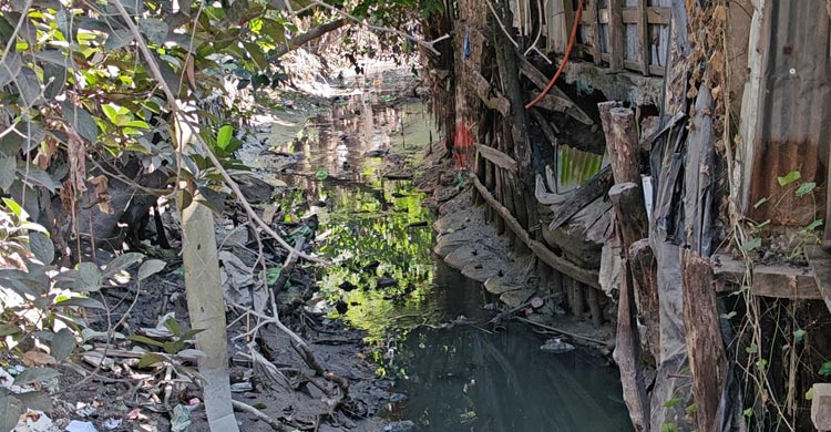 দখল-দূষণে দামোদর খালের দম যায় যায়