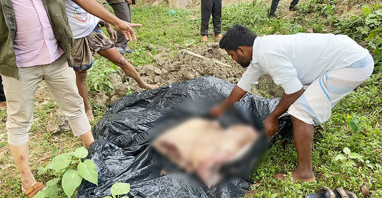 ২০ মণের &lsquo;খটক&rsquo; মাছ বিক্রি ৮ লাখে বিক্রি, অভিযানে মাটিচাপা