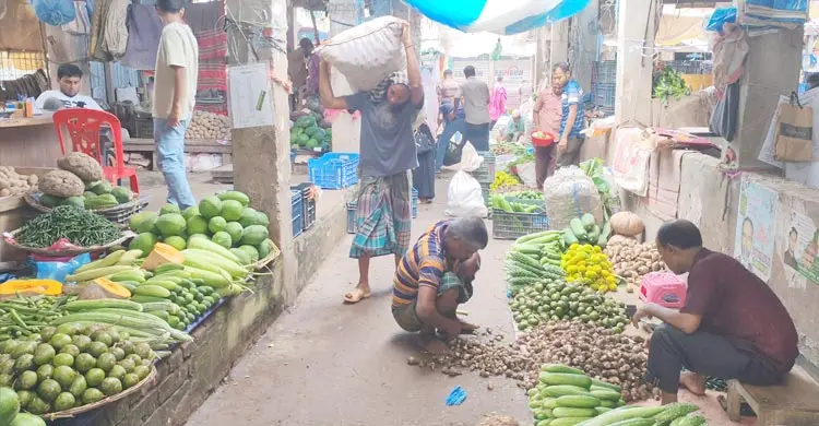 পিরোজপুরে মরিচের কেজি ৪০০ টাকা