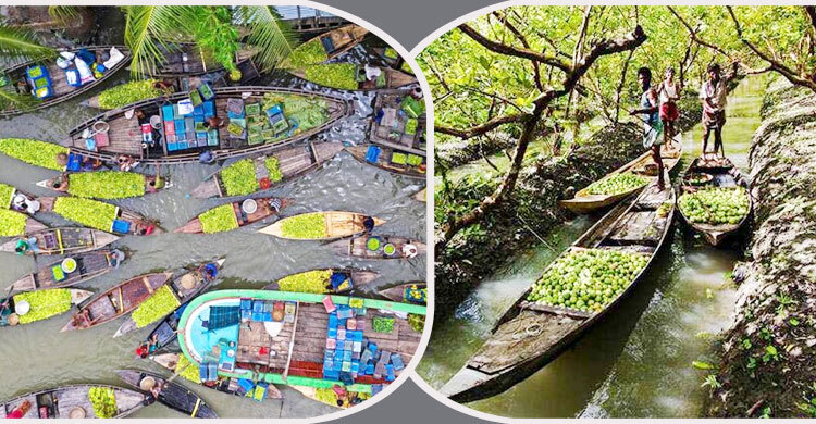 আটঘর-কুড়িয়ানার পেয়ারার বাগানের পরিবেশ রক্ষায় ৬ নির্দেশনা