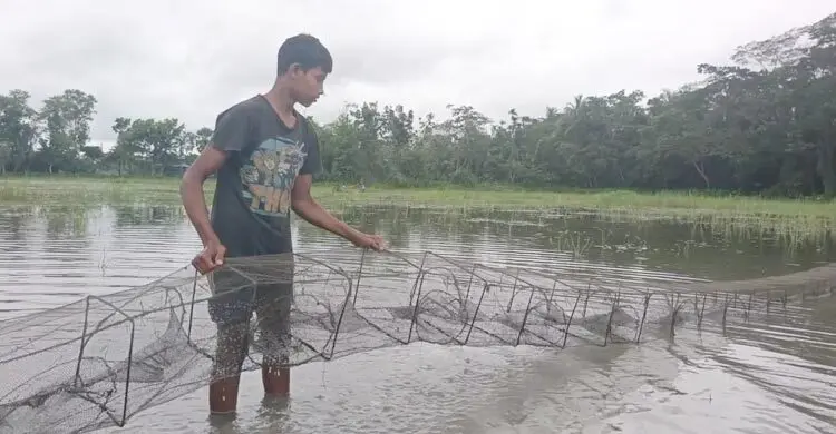 চায়না দুয়ারী জালে ধ্বংস হচ্ছে দেশীয় মাছের উৎপাদন