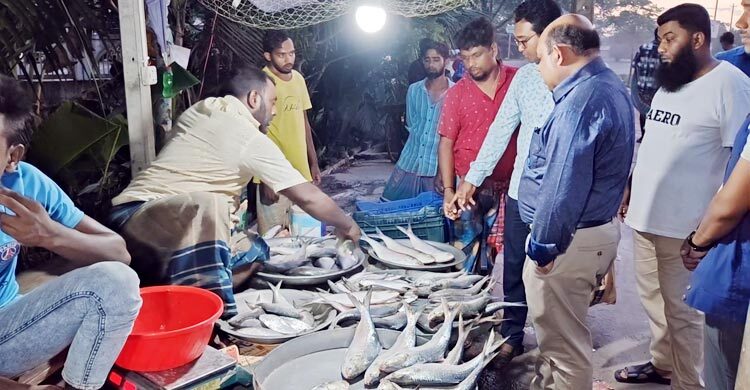 ইলিশের আকাল, ঋণের বোঝা নিয়ে হতাশায় জেলেরা