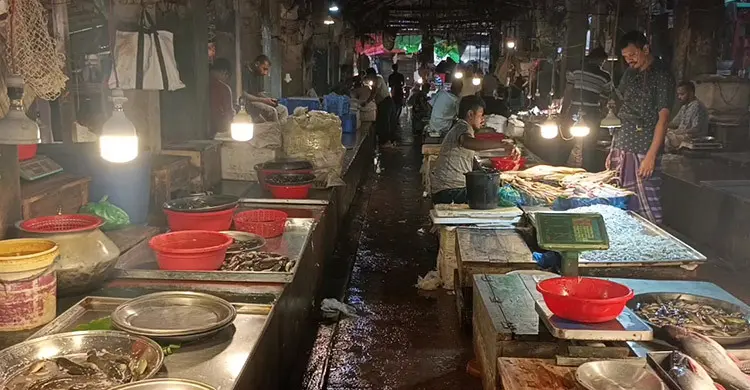 ভরা মৌসুমেও মিলছে না ইলিশ, দাম আকাশচুম্বী