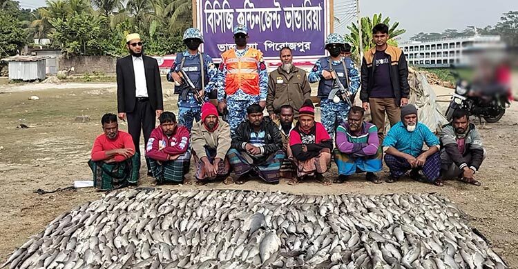কোস্টগার্ডের অভিযানে ৪৯১ হাঙর জব্দ, ৯ জেলেকে জরিমানা