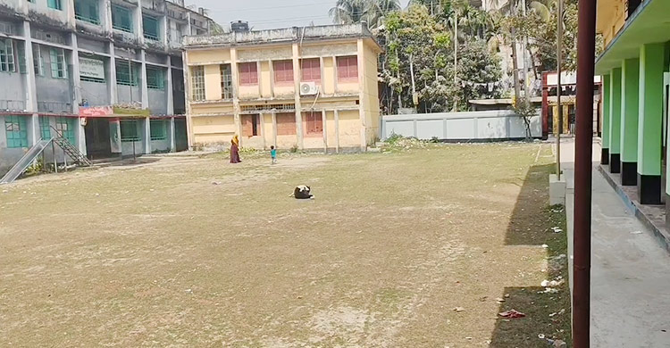 পিরোজপুরের অধিকাংশ শিক্ষাপ্রতিষ্ঠানে নেই শহীদ মিনার 