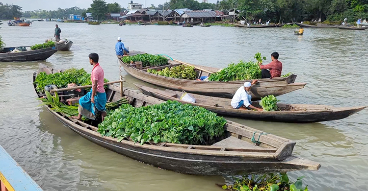 পিরোজপুরে শতবর্ষী ভাসমান হাট